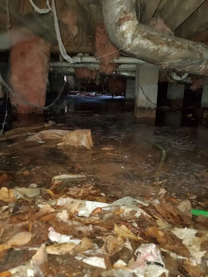 Crawl space flood assessment for Commercial Water Damage Restoration in Thatcher
